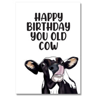 Happy Birthday You Old Cow Card